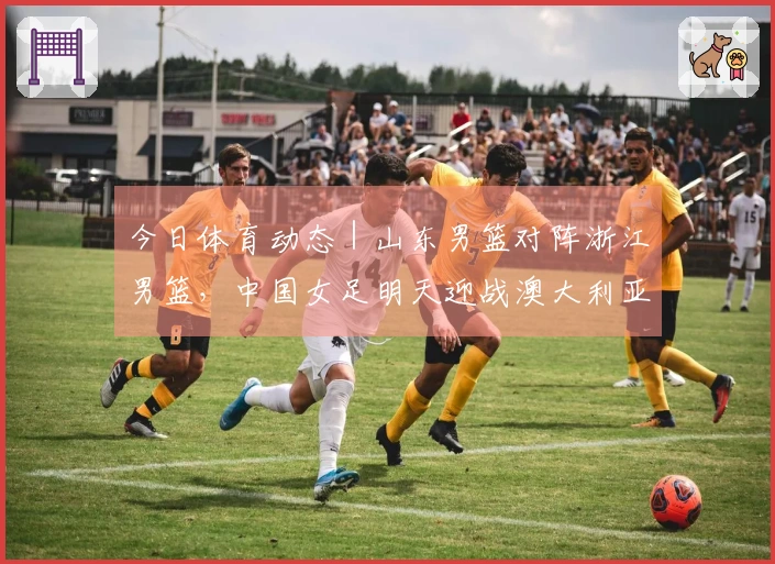 今日体育动态｜山东男篮对阵浙江男篮，中国女足明天迎战澳大利亚